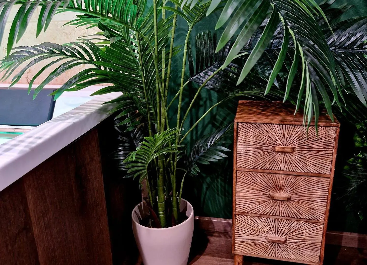 Appartement Evasion Tropicale Suite Jungle Room Thiers