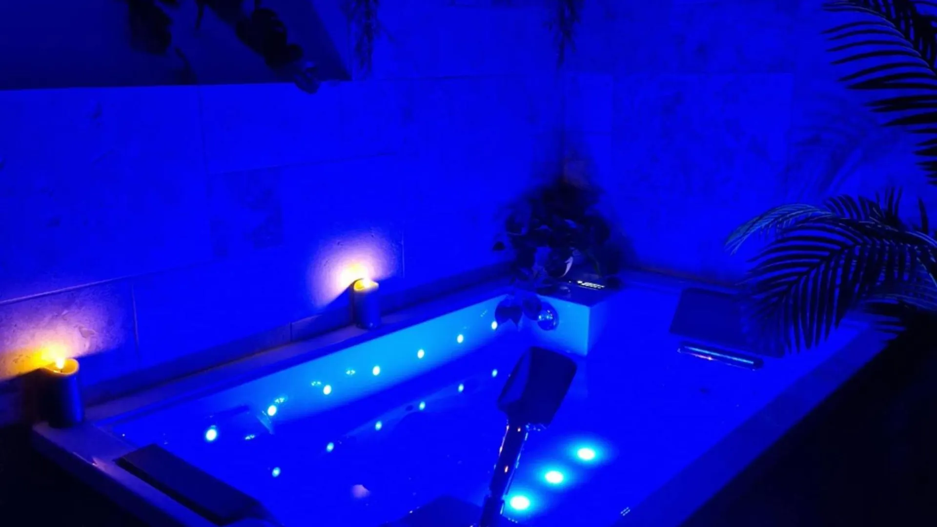 Appartement Evasion Tropicale Suite Jungle Room Thiers