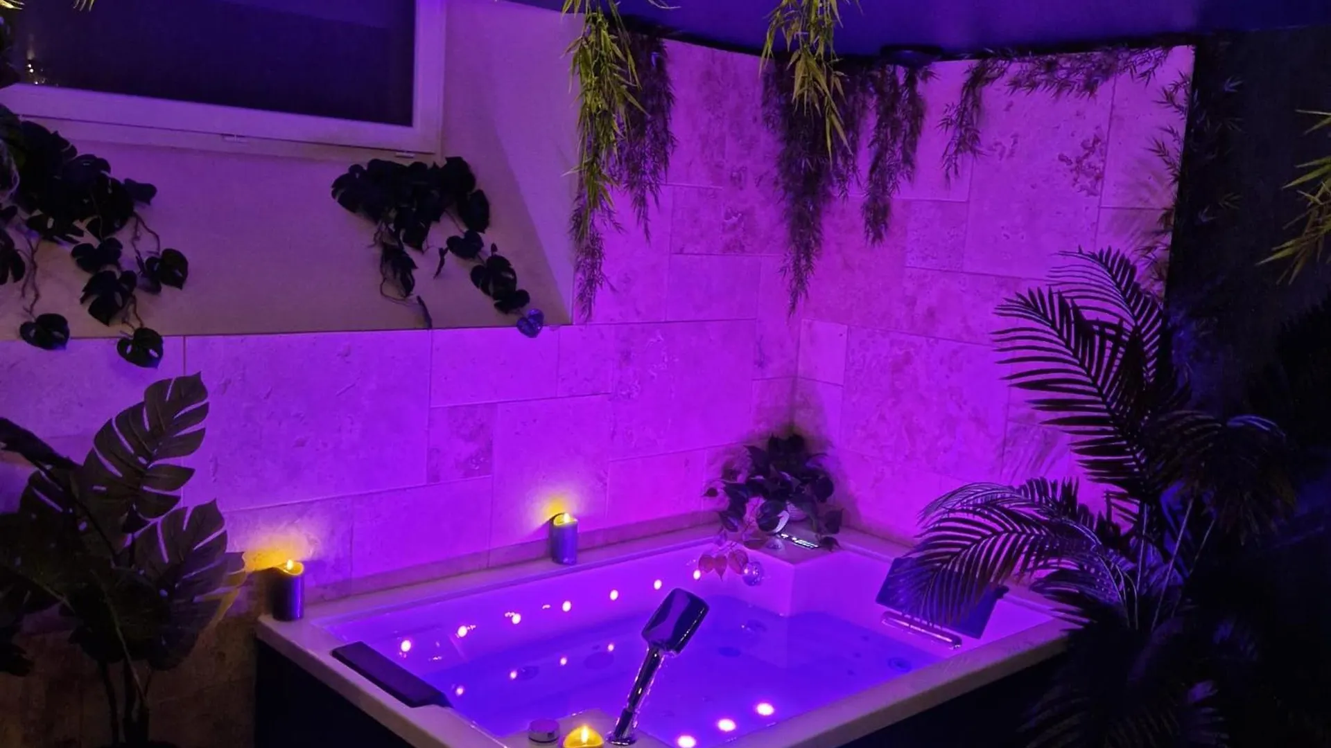Evasion Tropicale Suite Jungle Room Thiers France